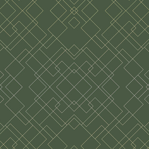 60021-c1v5