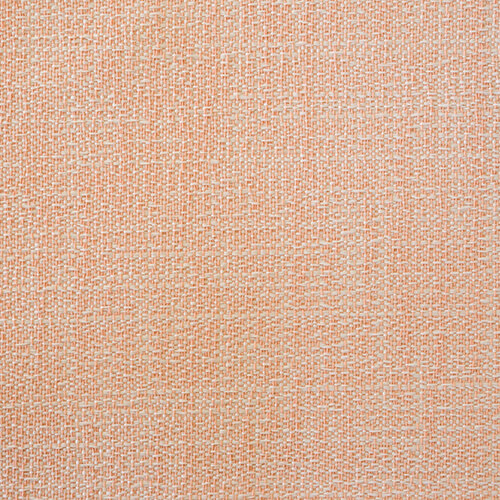 428-Salmon