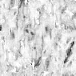 Aquarelle 60281 - c1v1