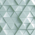 Excelsior 60005 - c1v2