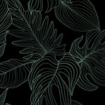 Monstera 60602 - c1v4