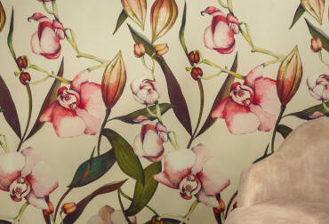 Orchidee