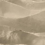 Sand Drift 60412 - c1v2