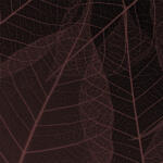 Leaves 60594 - c1v3